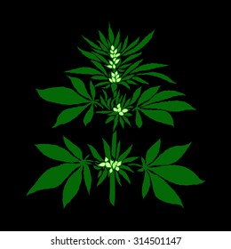 Marijuana leaf in abstract style, plant with buds
