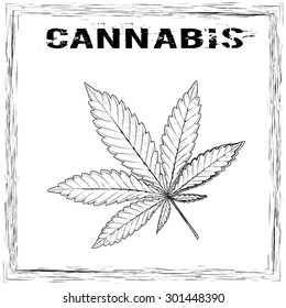 Marijuana leaf in abstract style and word Cannabis