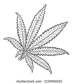 Marijuana Leaf Black White Hand Drawn Stock Vector (Royalty Free ...