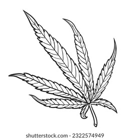 Marijuana leaf in black and white ,Hand drawn vector illustration.