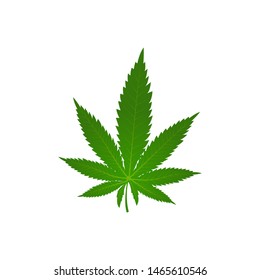Marijuana leaf (cannabis, hemp). Vector illustration isolated on white background 