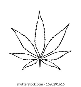 marijuana leaf, cannabis icon vector on white background