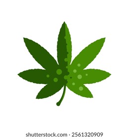 marijuana leaf , cannabis - vector icon