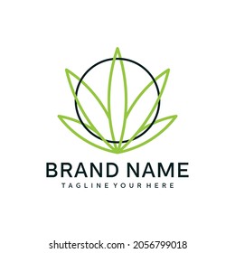 Hoja de marihuana, plantilla de diseño de iconos lineales del vector de cannabis sobre fondo blanco.	