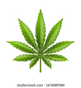 Marijuana leaf or cannabis leaf weed icon isolated on white background