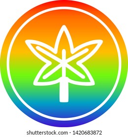 icono circular de hoja de marihuana con acabado degradado de arco iris