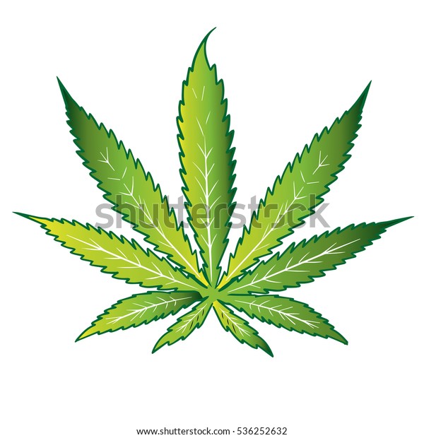 Цвета марихуаны tor video browser попасть на гидру
