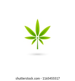 marijuana leaf design vector illustration isolated white background