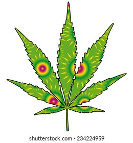 Marijuana leaf, drawing vector illustration.