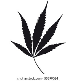 Marijuana leaf, drawing vector illustration.