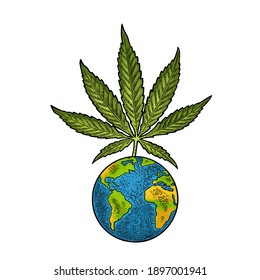 Hojas de marihuana y planeta Tierra. Elemento de diseño dibujado a mano cannabis. Ilustración vectorial de color vintage para etiqueta, afiche, web. Aislado sobre fondo blanco