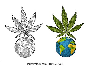 Hojas de marihuana y planeta Tierra. Elemento de diseño dibujado a mano cannabis. Ilustración vectorial de color vintage para etiqueta, afiche, web. Aislado sobre fondo blanco