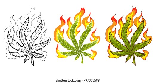 marijuana leaf in fire illustration isolated on white background. 