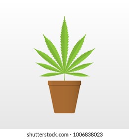 Marijuana leaf in flowerpot.