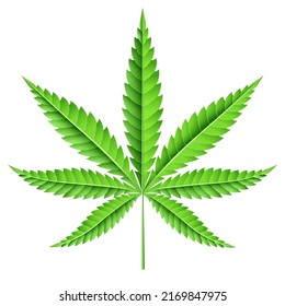 Marijuana Blatt grüne Farbe Vektorgrafik.