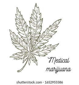 Hojas de marihuana. Elemento de diseño dibujado a mano cannabis. Ilustración de grabado vectorial negro vintage para etiquetas, afiches, web. Aislado sobre fondo blanco. Fondo floral con hojas de cannabis grabadas. 