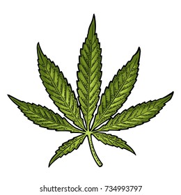 Weed Leaf Drawing Images Stock Photos Vectors Shutterstock