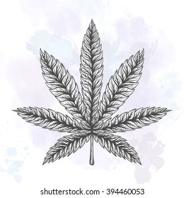 Marijuana leaf. Hand drawn isolated illustrations on watercolor backround.
