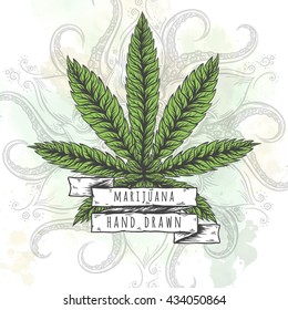Marijuana leaf. Hand drawn isolated illustrations on abstract watercolor background.