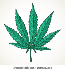 Marijuana leaf. Hand drawn narcotic cannabis design element. Hemp vector illustration isolated over white background.