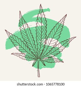 Marijuana leaf. Hand drawn narcotic cannabis design element with a green brush stroke. Hemp vector illustration isolated over white background.