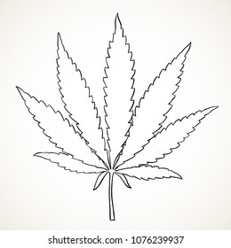 Marijuana leaf. Hand drawn narcotic cannabis outline design element. Hemp vector illustration in black isolated over white background.