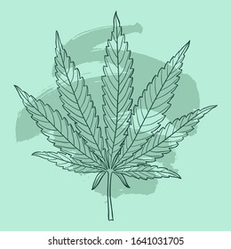 Marijuana leaf. Hand drawn narcotic cannabis design element. Green hemp vector illustration with brush stroke.
