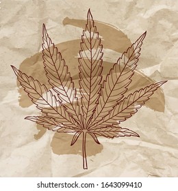 Marijuana-Blatt. Handgezeichnetes, narkotisches Cannabis-Design-Element auf zerbrochenem Papier. Vintage Hanf Vektorillustration Illustration mit Pinselstrich.