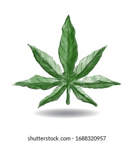 Icono de hoja de marihuana o icono de cannabis