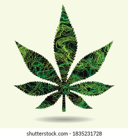 Marijuana leaf icon or cannabis icon. Vector illustration

