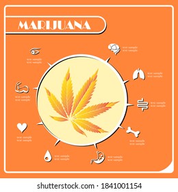  marijuana leaf icon. Poster Advertisement Flyers Vector Illustration