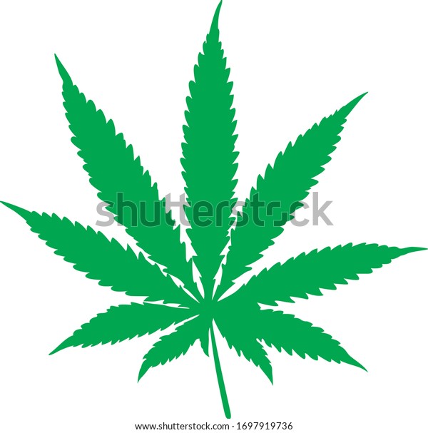 Marijuana Leaf Illustration Eps 10 Stock Vector (royalty Free) 1697919736