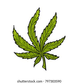 marijuana leaf illustration isolated on white background. 