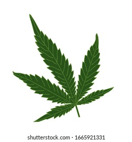 Hojas de marihuana aisladas objeto sobre un fondo blanco. Marihuana en vectores