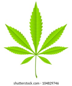 Marijuana leaf isolated on white background. Vector illustration.