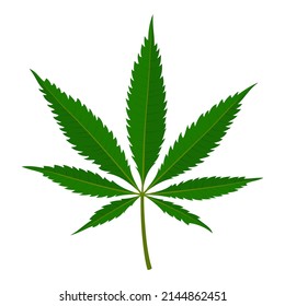 Marijuana-Blatt einzeln auf weißem Hintergrund. Medizinische Cannabis-Pflanze, Herbal indica sativa. Natürlicher Hanf. Sucht raucht Unkrautdrogen Illegale Betäubung. Vektorgrafik