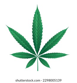 Hojas de marihuana aisladas en blanco. Ilustración vectorial de la hoja de la planta de cannabis