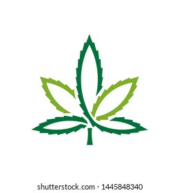 Marijuana leaf logo design template vector illustration