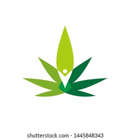 Marijuana leaf logo design template vector illustration