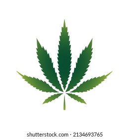 marijuana leaf for medical. Marijuana vector