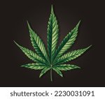 Marijuana leaf on a dark background. Realistic 3d illustration of cannabis