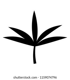 
Marijuana leaf on white background
