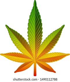 Marijuana leaf on a white background
