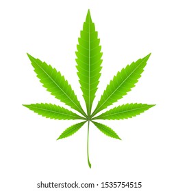 Marijuana leaf on a white background. Vector illustration.