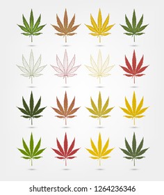 Marijuana Leaf Pack, Weed Cannabis Leaf Logo, Vector