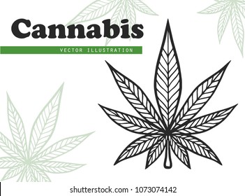 Marijuana leaf vector. Cannabis engraving plant. 