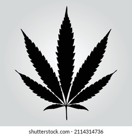 Icono vector hoja de marihuana. Símbolo de cannabis