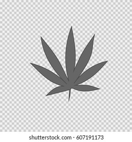 Marijuana leaf vector icon. Cannabis symbol. Vector illustration EPS 10 on transparent background.