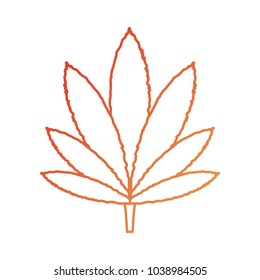 marijuana leaf  vector illustration