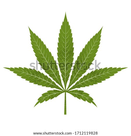 Marijuana leaf. Vector illustration isolated on a white background.